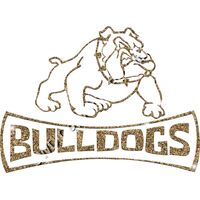 GLT94 GOLD GLITTER Thumbnail